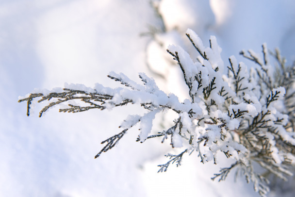 В Ленобласти  аномальные морозы до -29