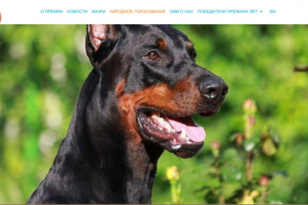 Спас хозяина от удара ножом, но погиб сам. Пса из Ленобласти номинировали на международную премию - фото