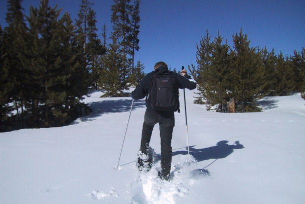 Финны рассказали, сколько к ним перебежало через закрытую границу с Ленобластью