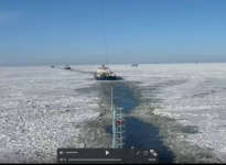 ледовая проводка в Финском заливе 25 февраля 2026 г