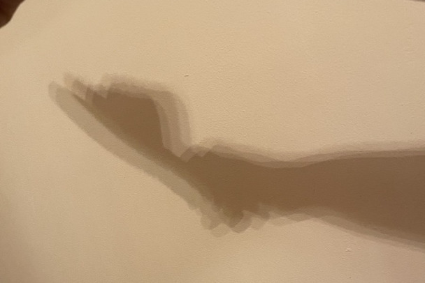 Воспитание тапком в лагере в Ленобласти стало уголовным делом. Бастрыкин ждет доклад