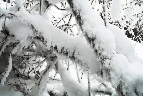 Где ж наша европейская зима Когда потеплеет в Петербурге и Ленобласти