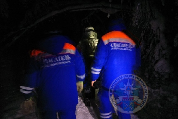 Пенсионерка в -16-ть градусов блуждала в лесу у Вырицы