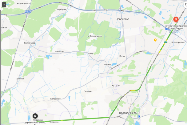 Последний, кто видел пропавшего ребенка из Петербурга, задержан в Пскове