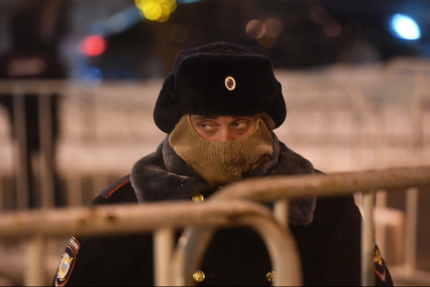 Товарища и 46 брикетов запретного сдала в Петербурге девушка под кайфом