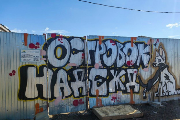 Геноцид под вой в сараях. Как Островок надежды стал концлагерем дворняг-бродяг