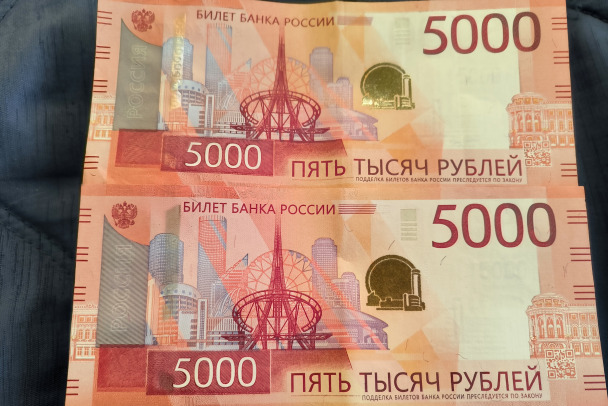 21-летнего жителя Ленобласти остановили в Пулково после декларации 800 тысяч пенсионерки