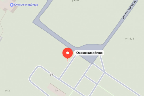 Стали известны дата и место прощания с убитым 9-летним Пашей