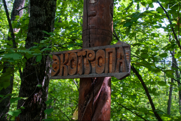 Петербург и Ленобласть свяжут новые экомаршруты в этом году