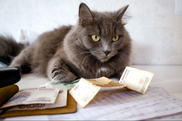 Шрифт, цены и QR-коды. Как определить поддельные квитанции за ЖКУ от мошенников