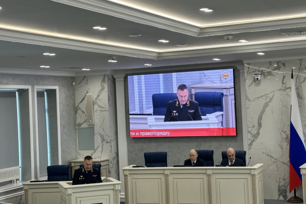 Глава ГУ МВД Плугин: Таких случаев, как дело Долиной, в Ленобласти было под 30 штук