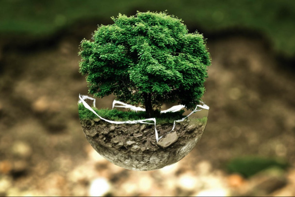 Возбужденная схема. Всем нужная земля Ленобласти