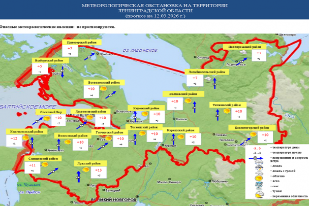 В Ленобласти ночи уходят в плюсовую температуру. В четверг днем  плюс 13, но дождь