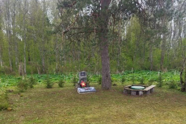 На могиле неизвестного солдата под Лугой поубавилось деревьев. Энергетики обещали уборку