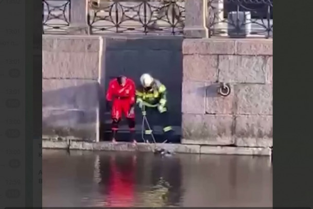 Из реки в Петербурге подняли тело мужчины с рюкзаком