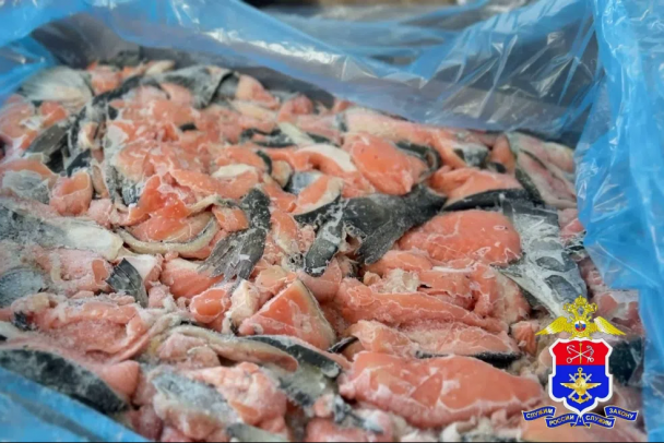 Суд определится с наказанием для контрабандиста, который привез в Петербург 154 тонны деликатесов из лосося