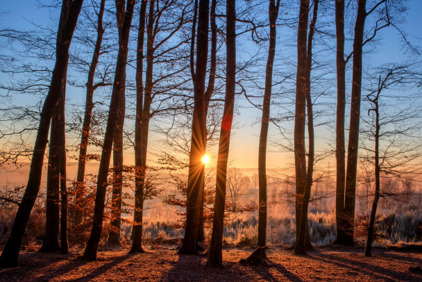 Ленобласть в воскресенье прогреется до 16 градусов