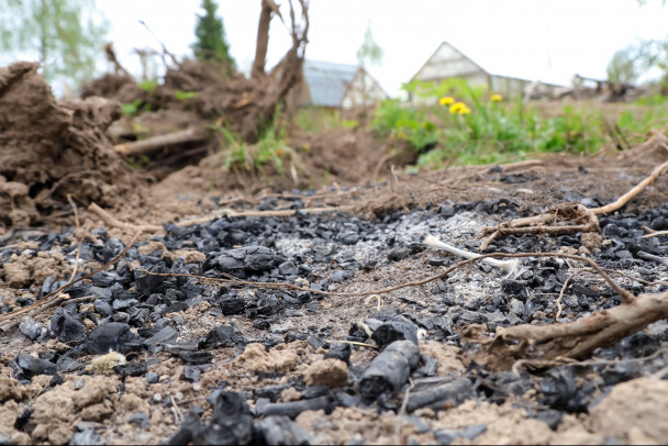 Постройкой не вышли. Молодая компания из Петербурга вернет чиновникам Колтушей гектары на 38 млн рублей