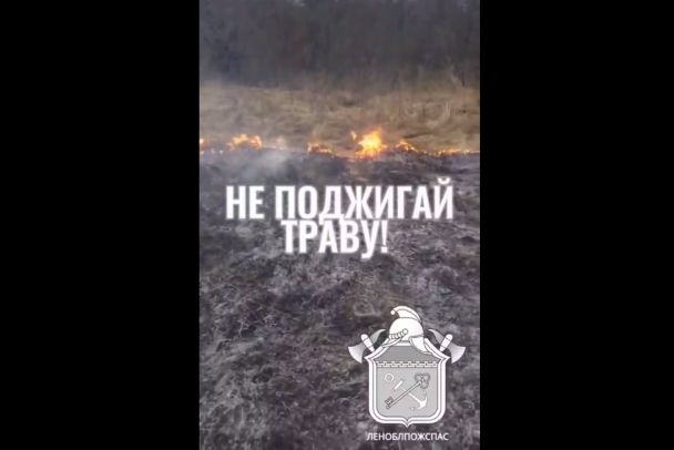 Жителям Ленобласти напомнили о наказании за пал сухой травы