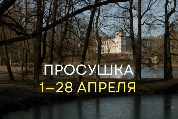 Внимание перед выходными: дворцовый парк в Гатчине закрыт на просушку. В Монрепо еще можете успеть