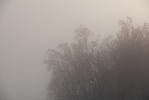 Ленобласть настиг густой туман. Объявлен желтый уровень погодной опасности