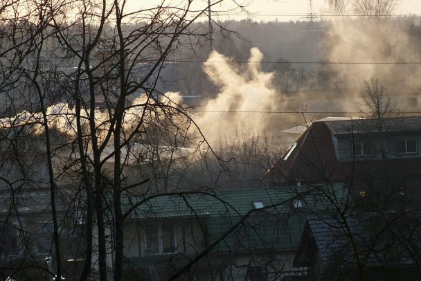 Под Волосово сгорел дом. Погиб человек или животное  установят эксперты