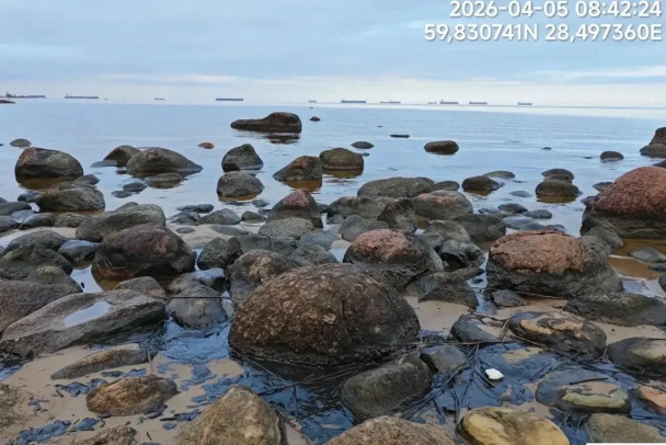 Эконадзор нашел локальное скопление нефтепродуктов у деревни Логи