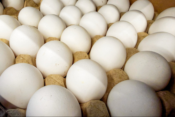 Разбитые яйца. Областные птицефабрики теряют выручку и уходят в минус