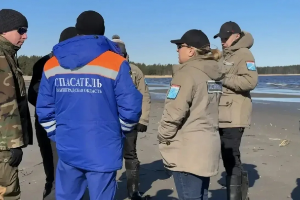 Эконадзор нашел и показал локальное загрязнение нефтепродуктами на Финском заливе