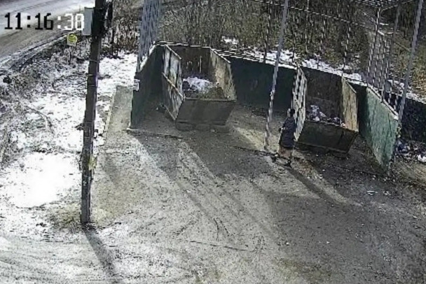 Во Всеволожске очистили захламленные контейнерные площадки