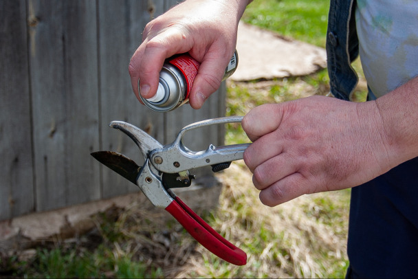 В Петербурге бездомный напал на пенсионерку с секатором