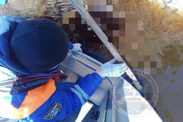 Мертвого мужчину нашли в Волхове