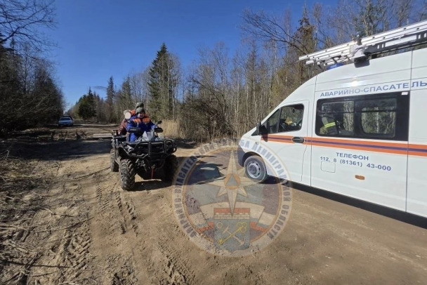 80-летний пенсионер заблудился и провел ночь в лесу под Гатчиной