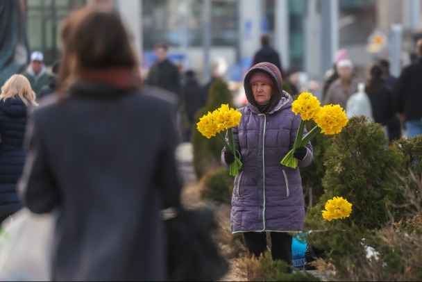 В Ленобласти - ветер северный. Температура пойдет вниз
