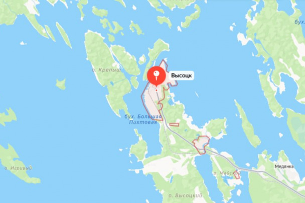 С чем работает порт Высоцк, где тушили возгорание. Сжиженный газ, нефтепродукты, зерно.