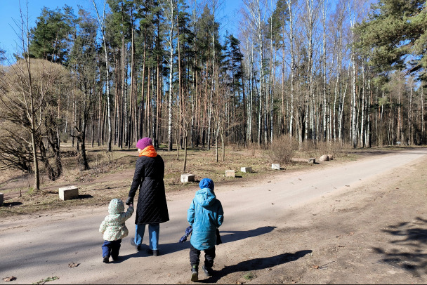 Ленобласть ждет очень солнечный, но холодный день