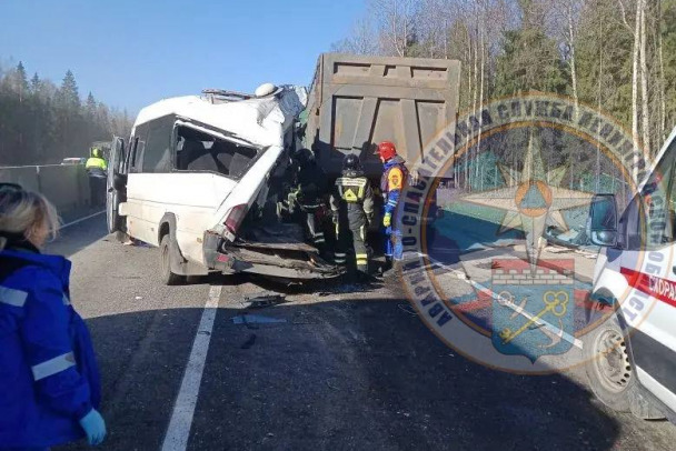 В массовом ДТП в Тосненском районе пострадали девять человек