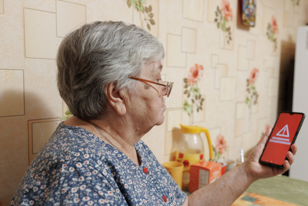 В МВД показали, как мошенники могут использовать фишинговую форму перед кражей денег