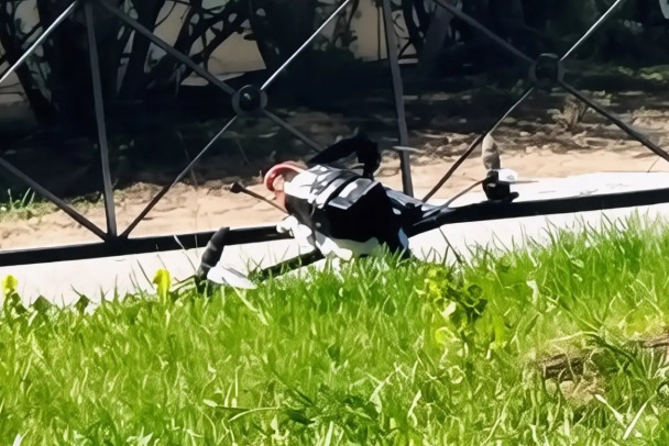 Участок бульвара в Петербурге огородили из-за неопознанного коптера