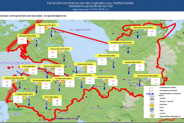 Дождь, снег и ветер. Похолодание оденет жителей Ленобласти в пуховики