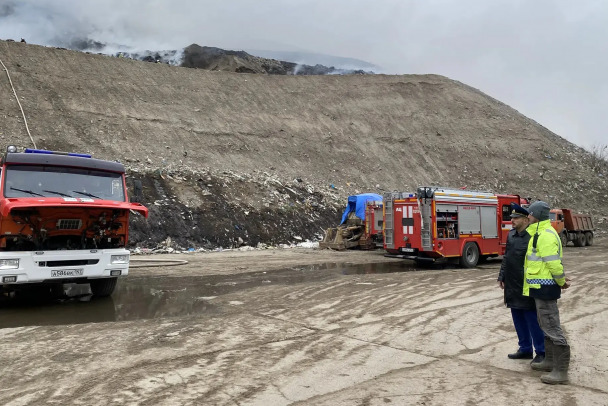СК видит природоохранного прокурора Ленобласти адресатом взяток в миллионы рублей