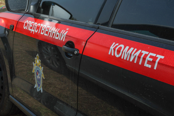 Мужчина до смерти забил свою знакомую в Пикалево. Целился по шее и туловищу