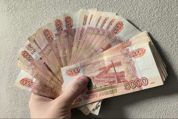 Бухгалтера из Лужского района отправили в колонию за присвоение миллионов