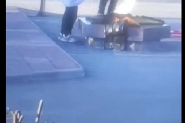 В Тихвине дети набросали листвы в Вечный огонь (видео)