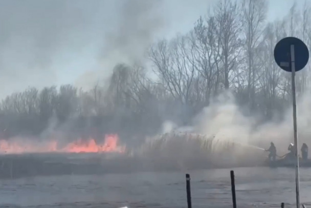 Только весна наступила. В Ленобласти уже произошло больше 400 ландшафтных пожаров