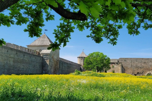Ивангород стал Городом воинской доблести