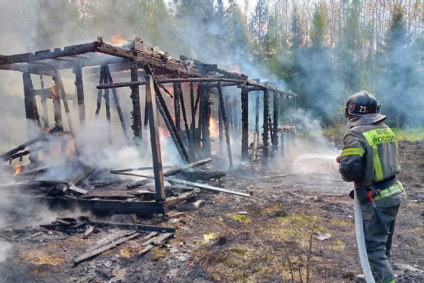 Под Гатчиной на 900 квадратах полыхали бывшие овощные склады