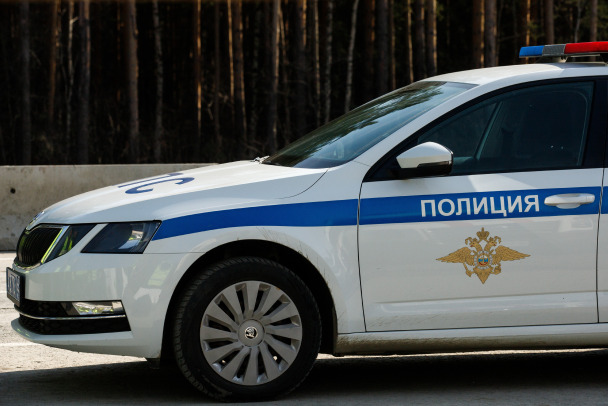 Закладчицу на иномарке задержали в лесу под Всеволожском