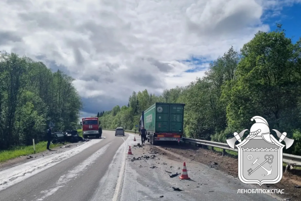 Восьмилетняя девочка из Renault погибла в аварии под Пикалево