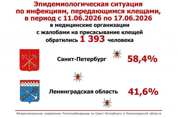 Клещи за неделю атаковали 1,4 тысячи человек в Петербурге и Ленобласти